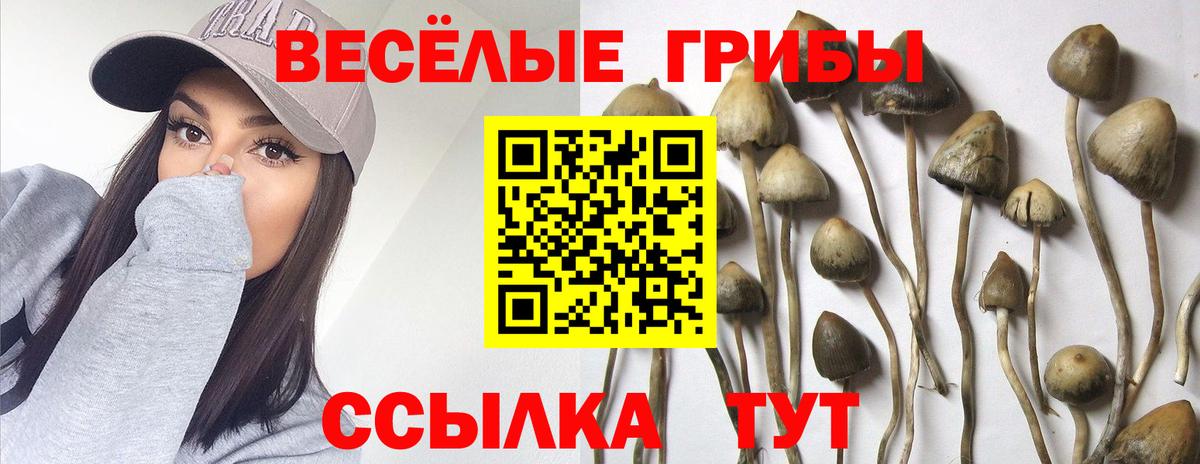 Набережные Челны  Псилоцибиновые грибы Psilocybine cubensis  Вход с VPN 